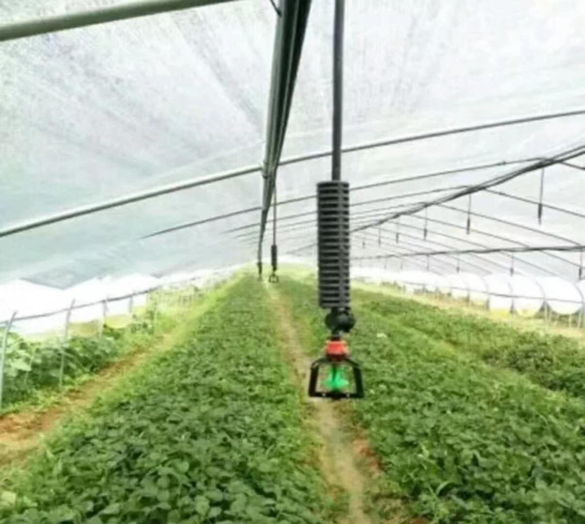 ����΢��